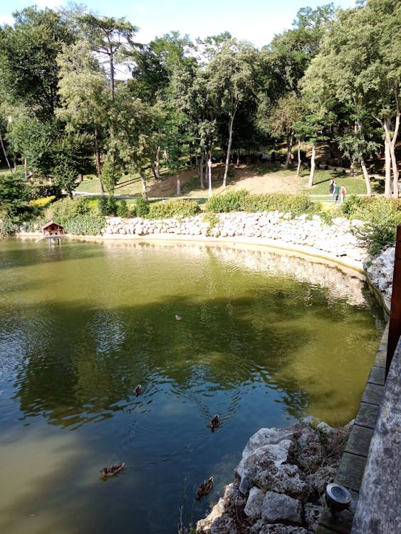 Grease Trap best practices