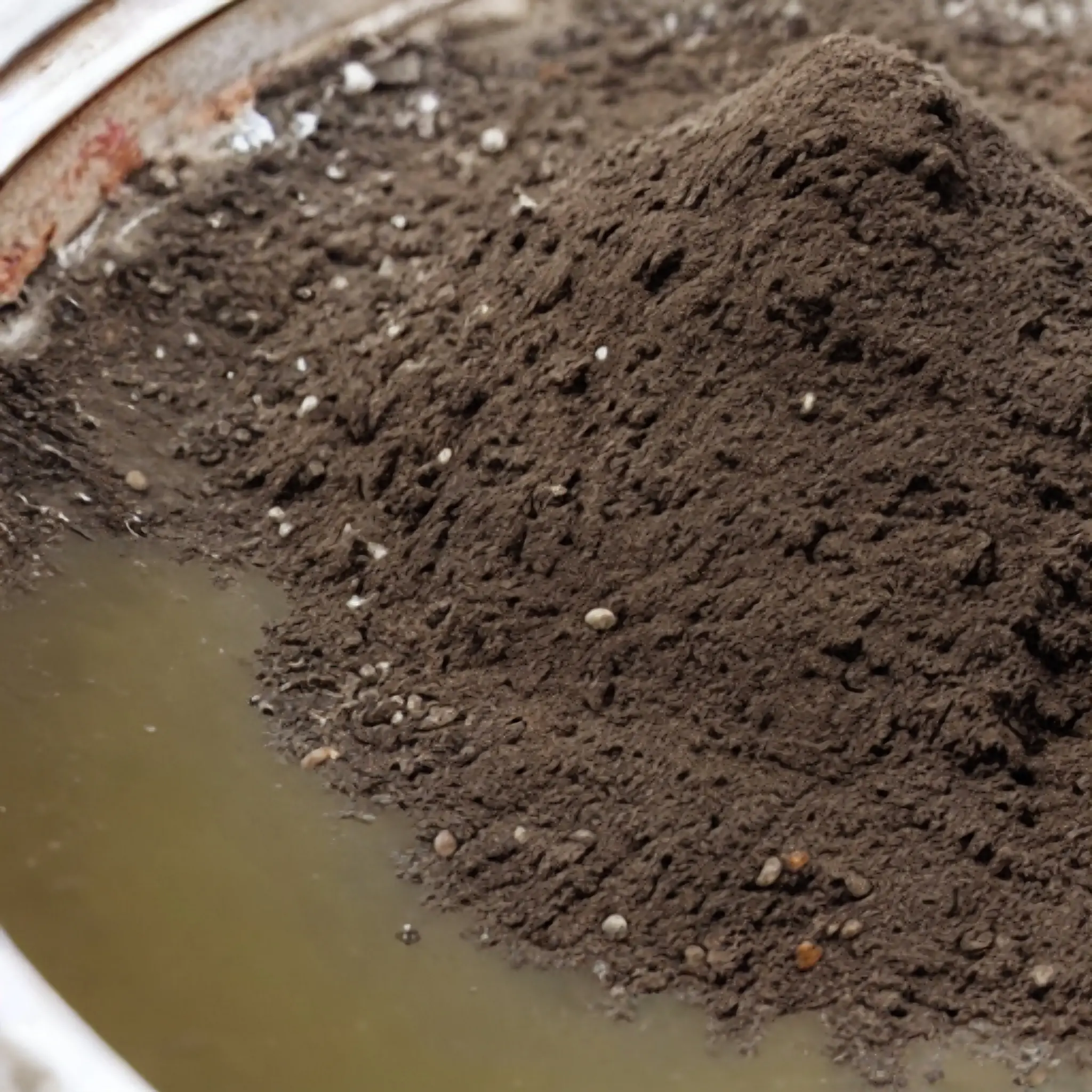 sludge converted to useable dirt