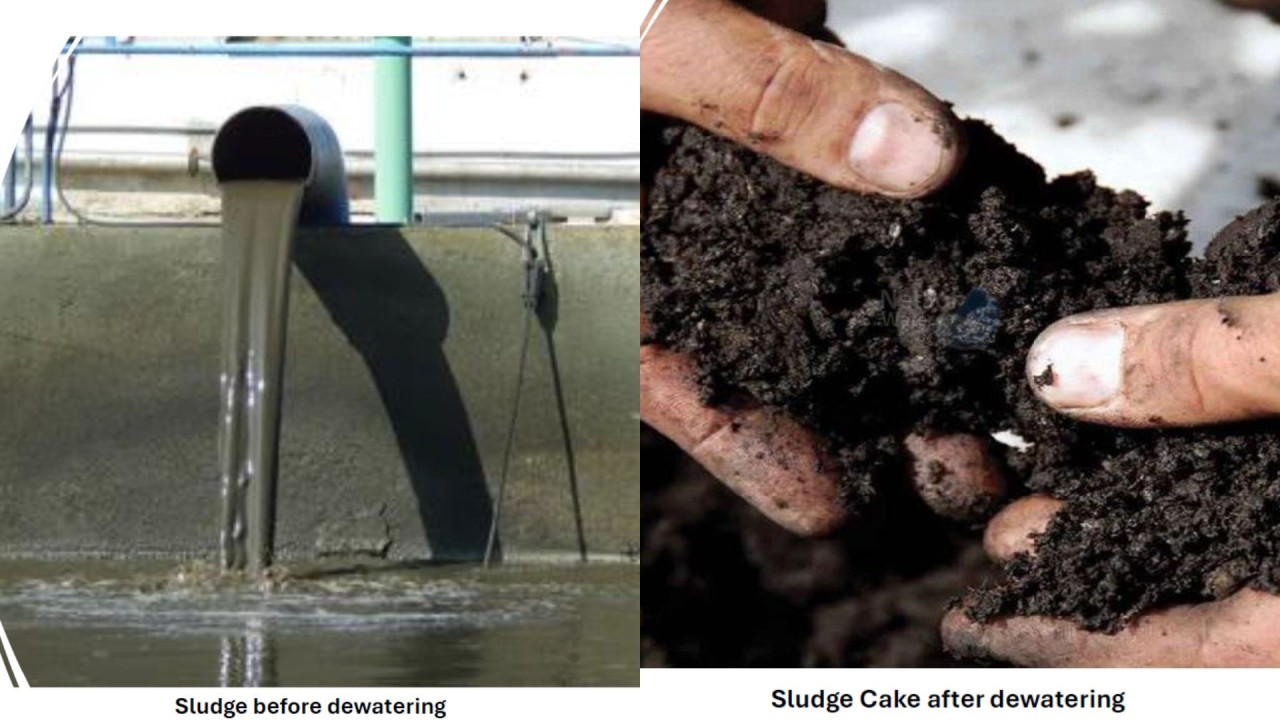 sludge after dewatering